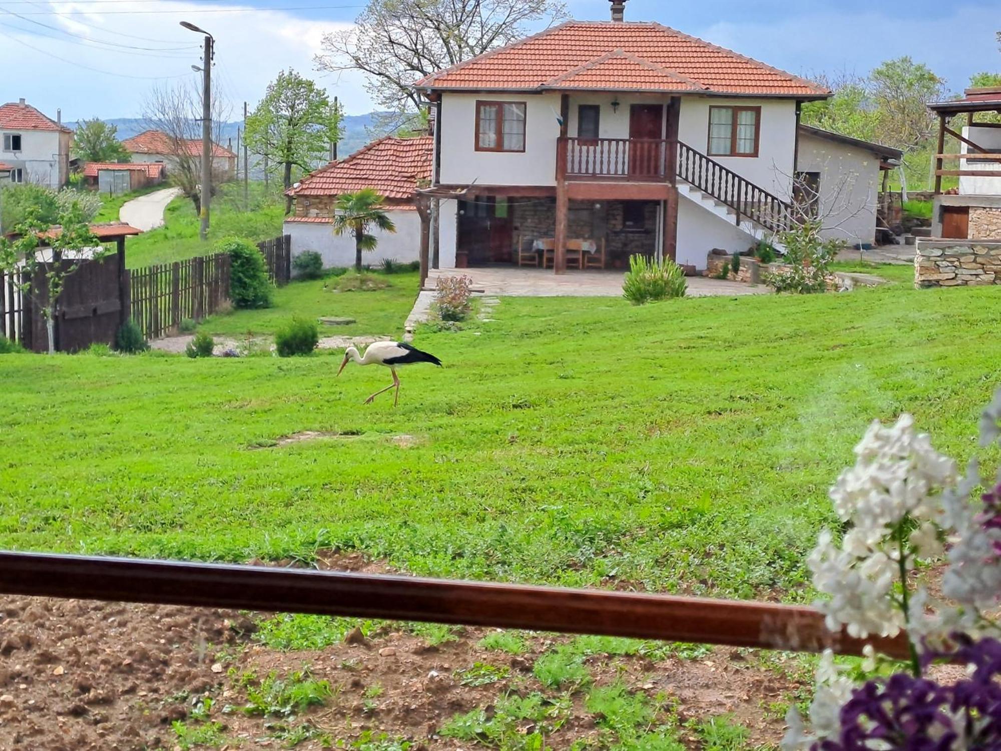 Отель Casa Lambuh Экстерьер фото